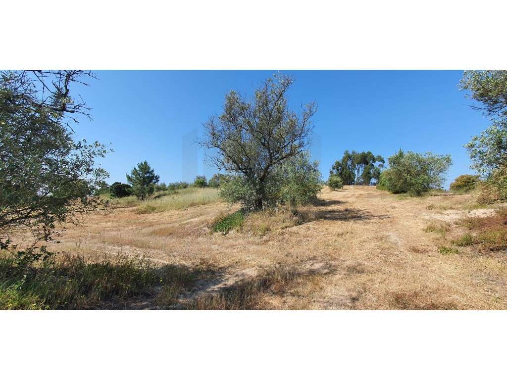 Terreno com a área de 34.231 m2, com viabilidade de construção para... - Grande imagem: 4/17