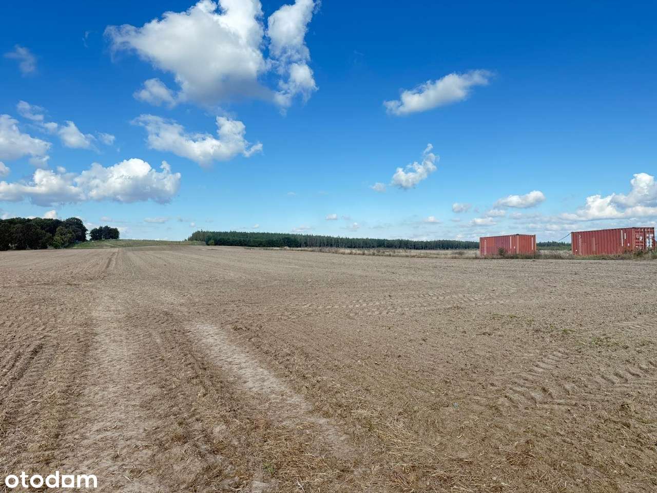 Atrakcyjne działki z warunkami zabudowy, Trzcinna!-3