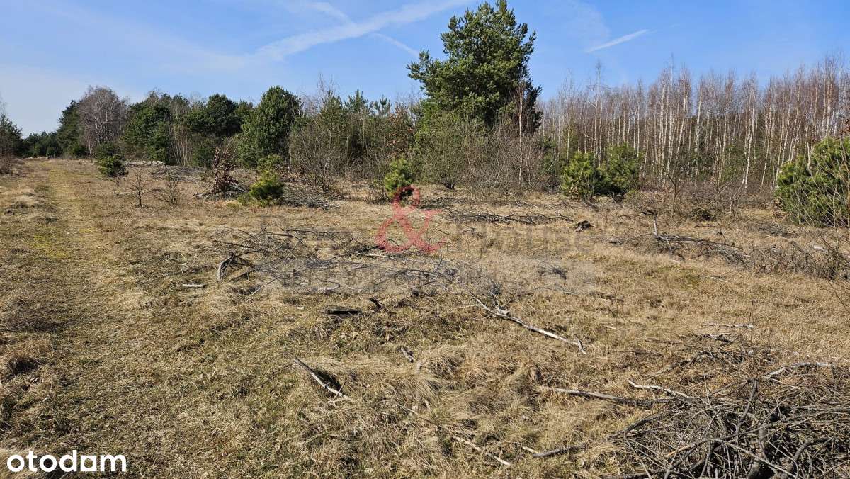 Działka budowlana z lasem! - Pełny obrazek: 5/8