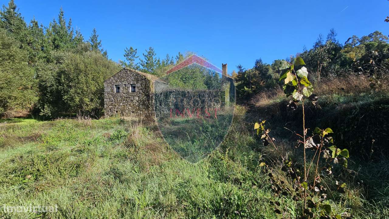Terreno  Venda em São Cipriano e Vil de Souto,Viseu - Grande imagem: 4/7