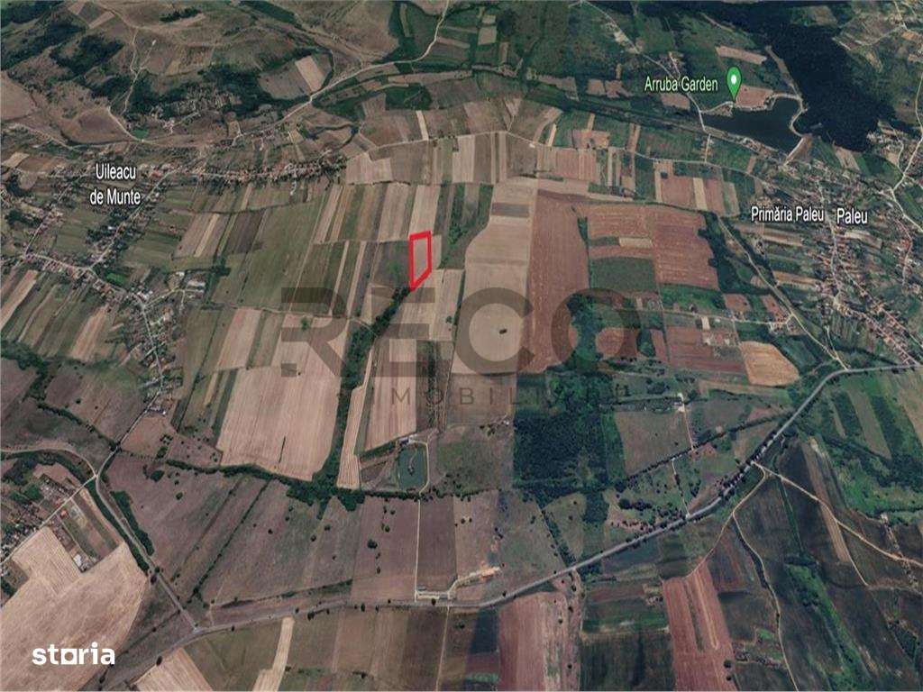 Teren mare extravilan in Uileacu de Munte - Imagine principală: 4/5