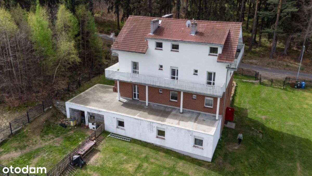 Nietuzinkowa nieruchomość pod lasem - Pełny obrazek: 5/20