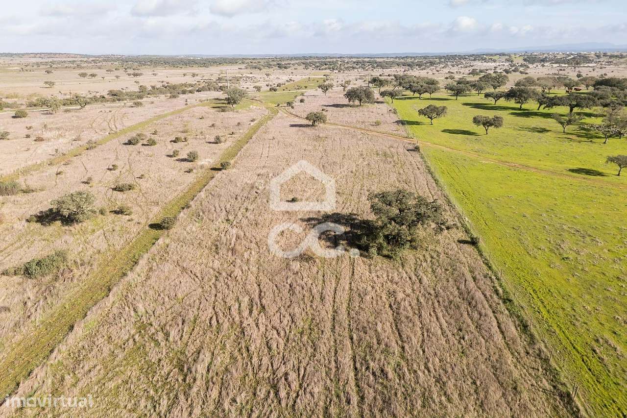 Terreno de 5,4 ha c/ Viabilidade de Construção | Capelins, Alandroal-46