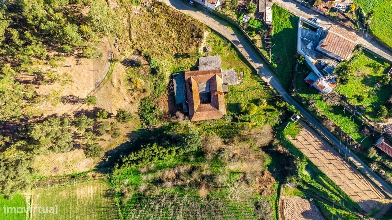 Quinta de 9.200 m2 com Moradia em Pedra | 30min do Porto (Próximo à Al - Grande imagem: 4/19
