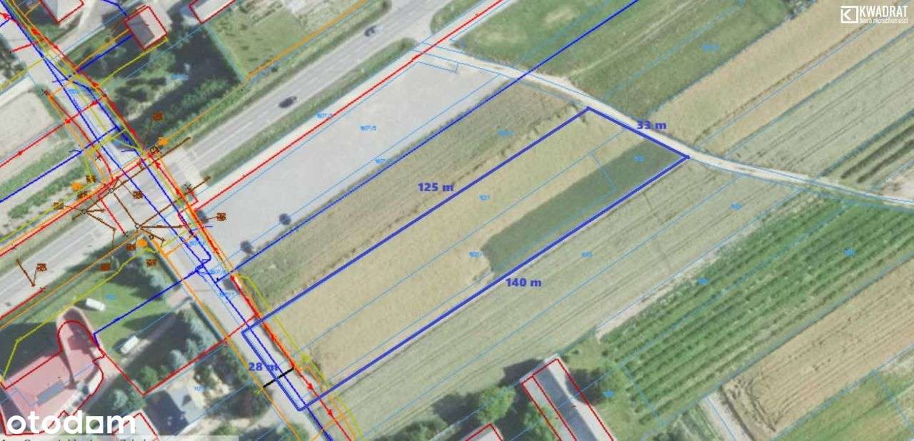 Działka o pow. 37 ar/Piotrków Pierwszy/gm. Jabłonn - Pełny obrazek: 4/4