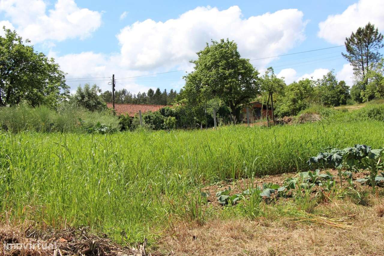 Terreno, Viseu, Mortágua, Mortágua, Vale de Remígio, Cortegaça e Almaç - Grande imagem: 5/10
