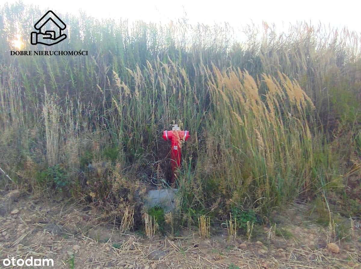 Wz - duża działka przed Nałęczowem - Pełny obrazek: 4/6