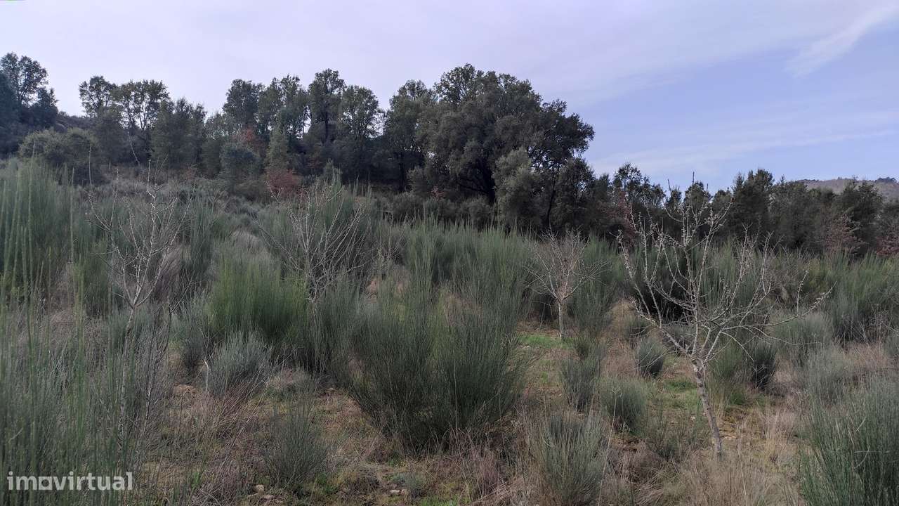 Oportunidade Exclusiva: Quinta com Alto Potencial de Valorização-12