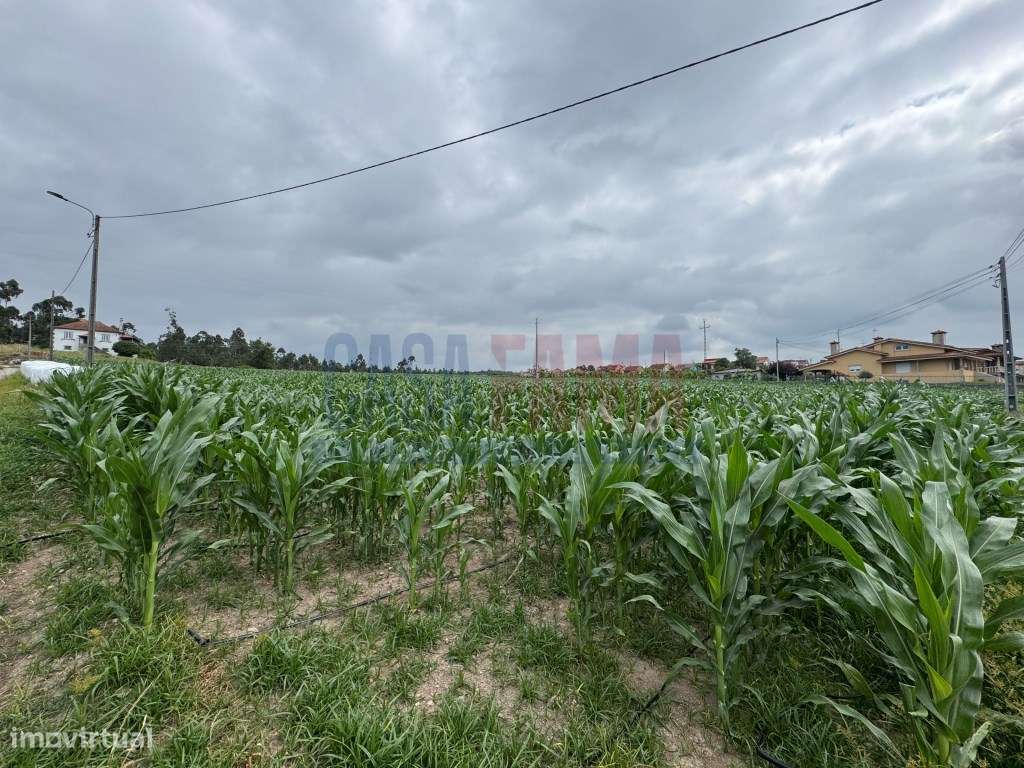 Terreno de Construção com 9.680 m² - Parada, Vila do Conde - Grande imagem: 3/23
