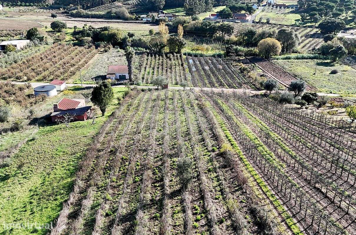 Terreno  para venda - Grande imagem: 5/7