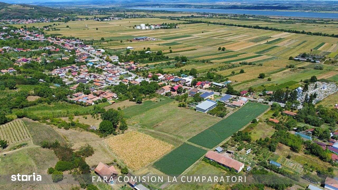 CRAMA - Oportunitate Unica in Domeniul Viticol-3