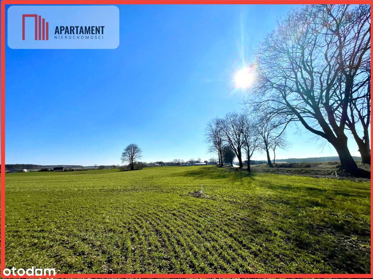 Obniżka ceny!Działki idealne pod przyszłą zabudowę - Pełny obrazek: 3/7