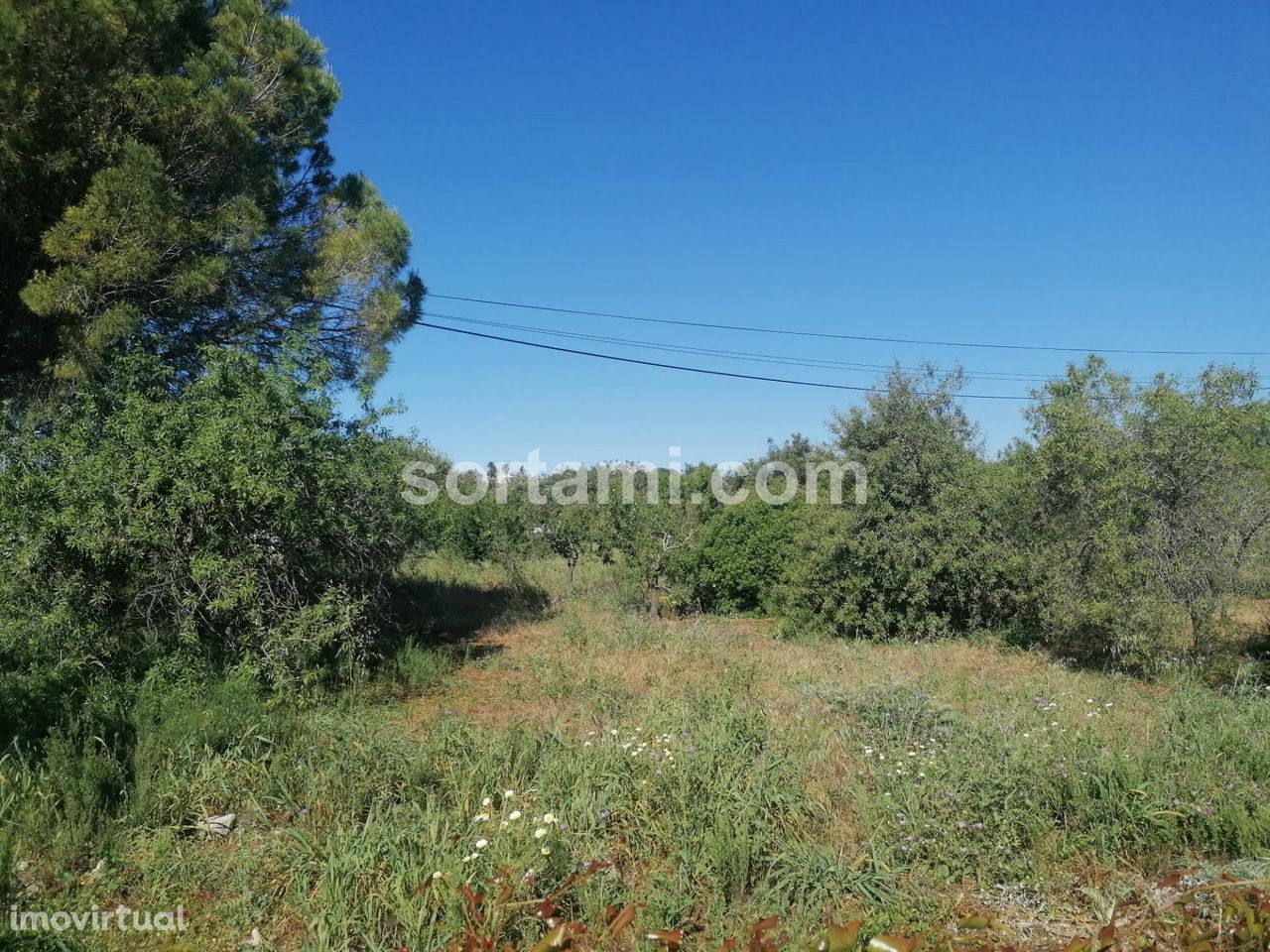 Terreno Para Construção  Venda em Loulé (São Clemente),Loulé