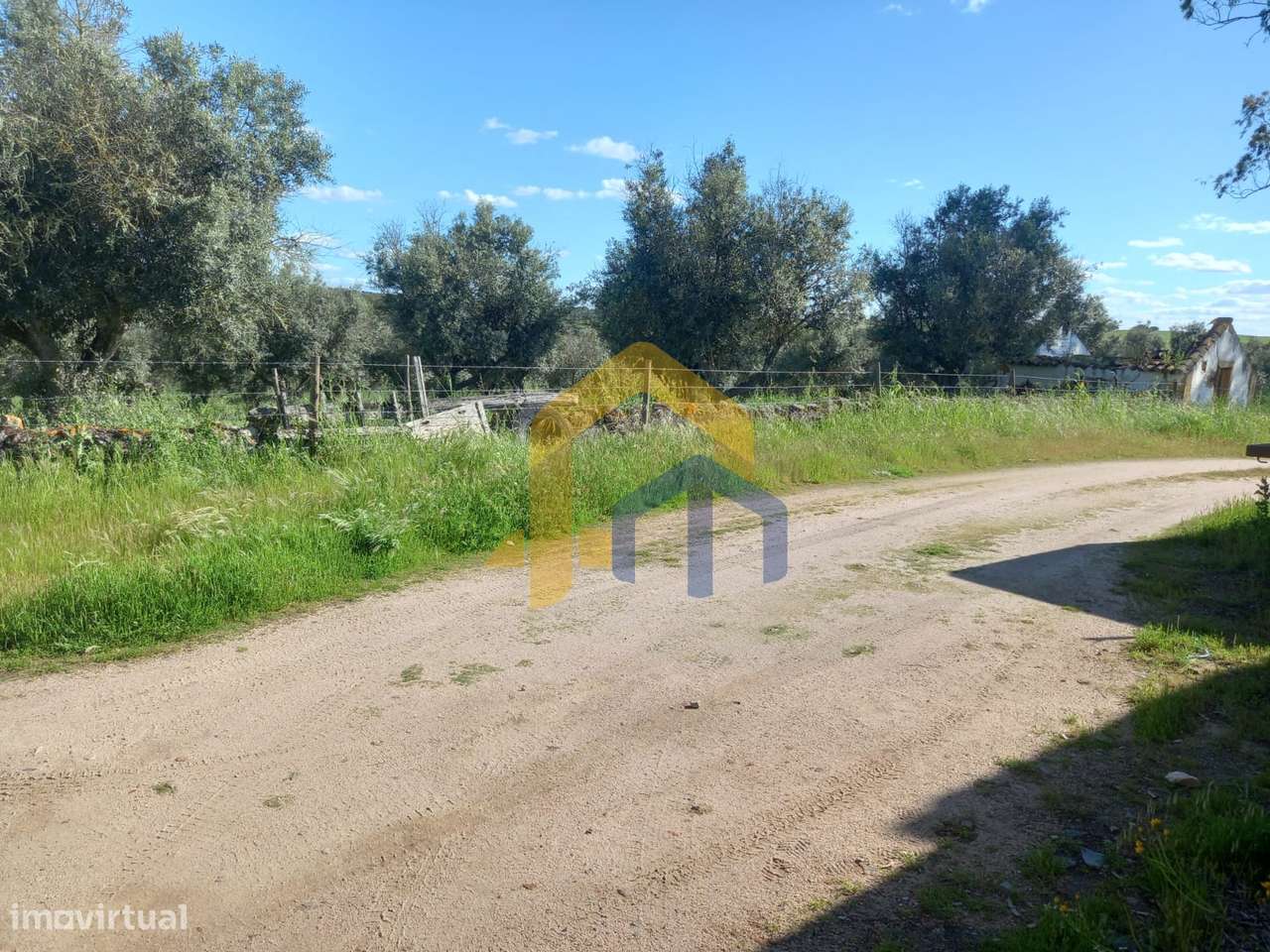 🏡 Quintinha em Monforte-8