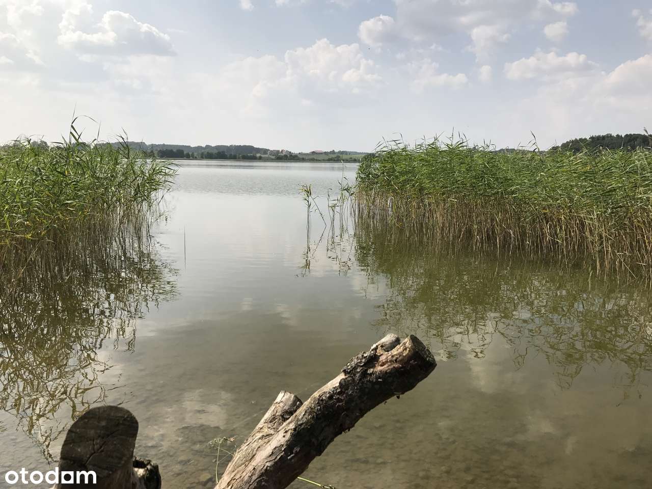 Działka inwestycyjna przy jeziorze Wiżajny 10,41ha - Pełny obrazek: 4/7