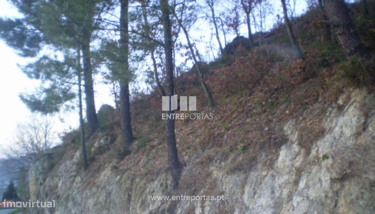 Venda Terreno, Soalhães, Marco de Canaveses - Grande imagem: 4/12