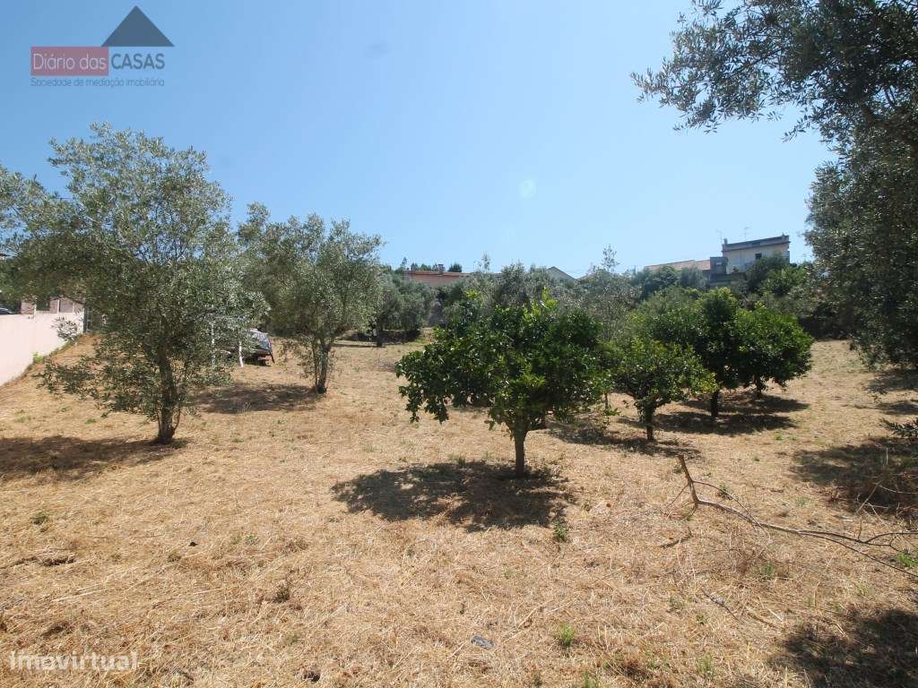 Terreno com viabilidade de construção - Grande imagem: 4/6