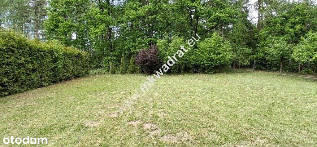 Nowa cena! OkazjaDom 306 m² z dużą działką 3143 m²-15