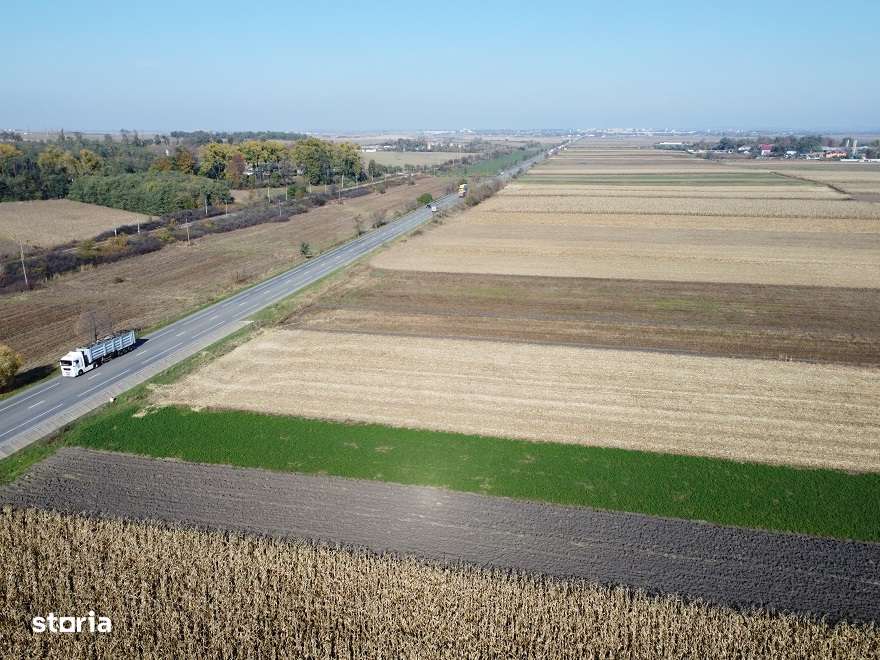 Teren Secuienii Noi /Basta 27900 mp Utilitati 92 ml Deschidere - Imagine principală: 5/11