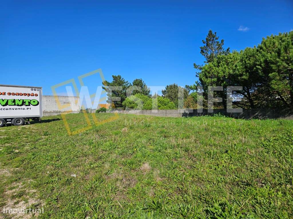 Terreno plano em Mafra com 1975m2 para Arrendamento - Grande imagem: 4/15