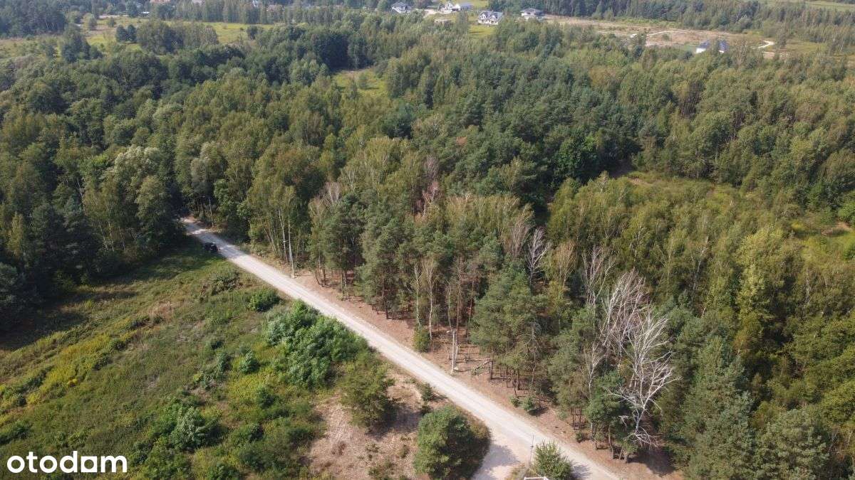 Działki budowlane w otoczeniu drzew-11