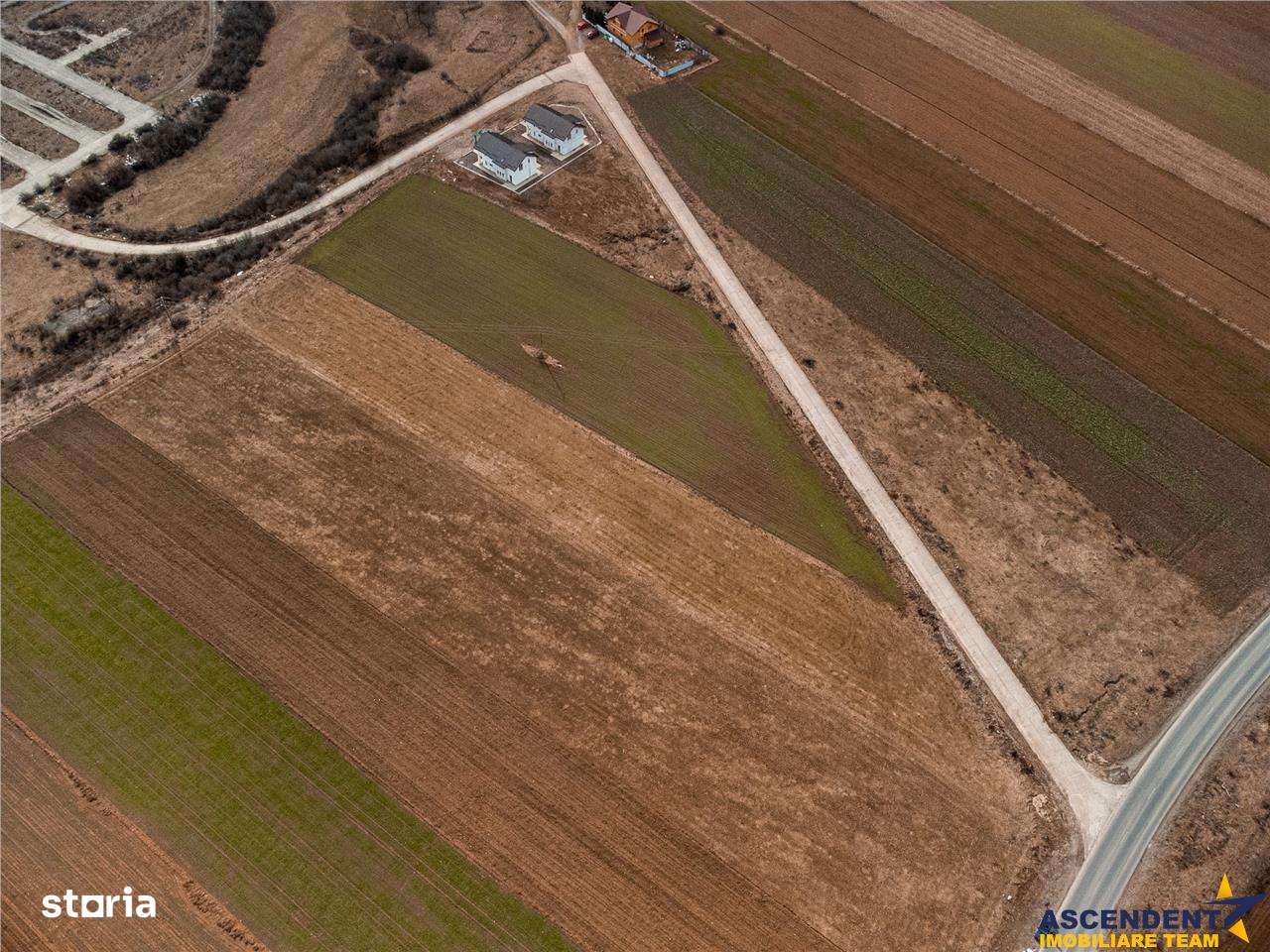 FILM! 5.500mp de inspiratie imobiliara, Tarlungeni,Brasov - Imagine principală: 4/6