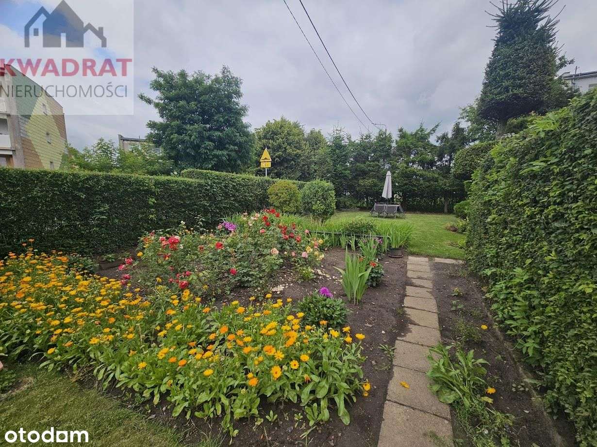 Pół domu w Gronowie Elbląskim. - Pełny obrazek: 5/20