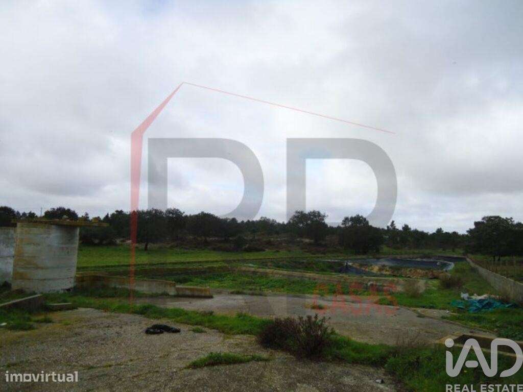 Terreno industrial em Quinta do Anjo - Grande imagem: 2/12