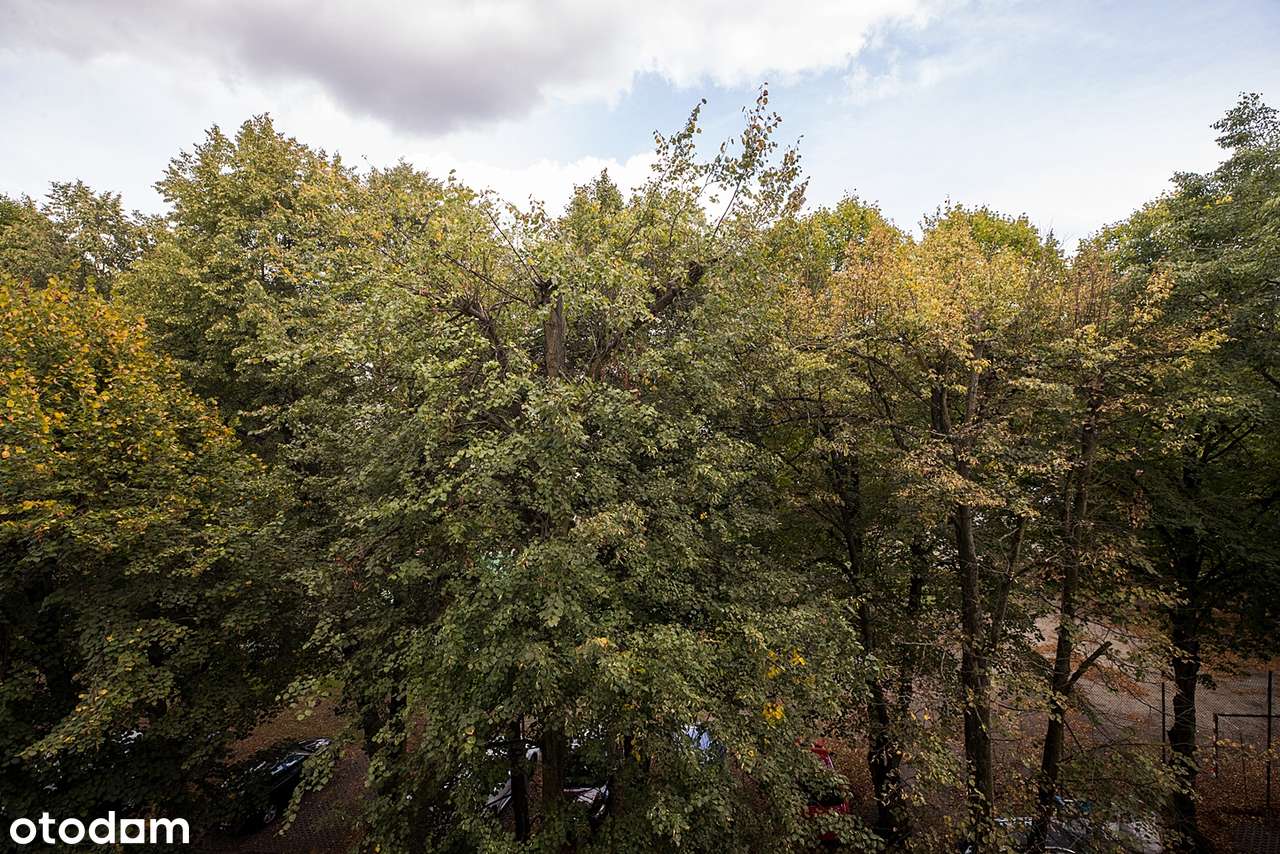 2/3 POKOJE|DO REMONTU|DO NEGOCJACJI|ZAPROPONUJ SWOJĄ CENĘ|-9