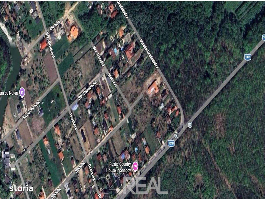 Teren de vanzare in Snagov - 981 mp-6