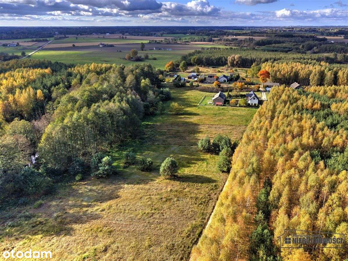 Działka pod lasem na raty - Piaseczno-5