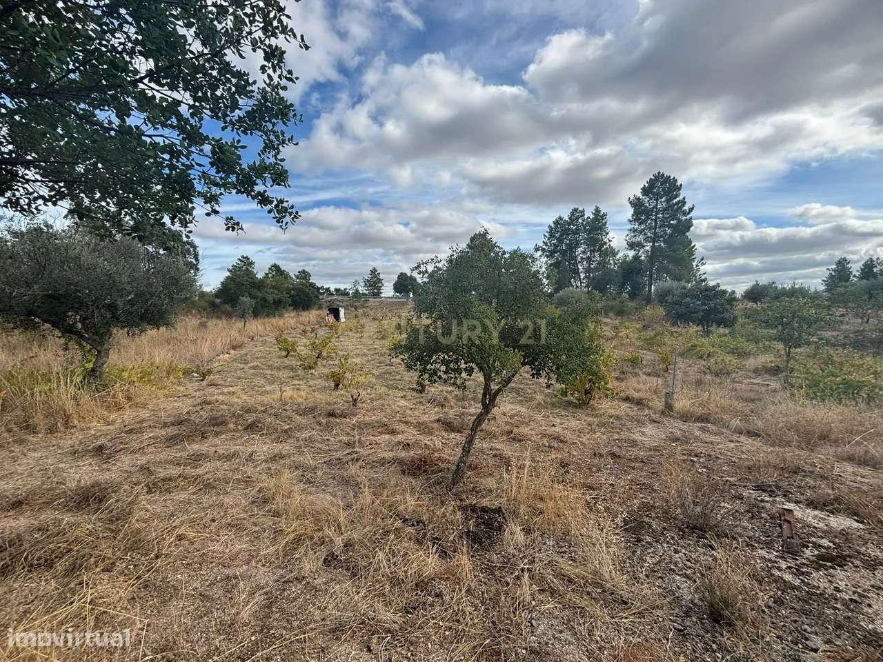 Terreno Rústico com Excelente Acesso – Oportunidade Única! - Grande imagem: 3/9