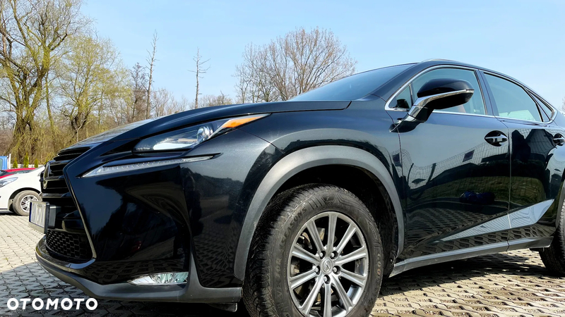 Lexus NX - 7