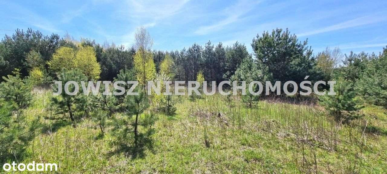 Działka Koleczkowo z warunkami zabudowy 369 tys. z-4