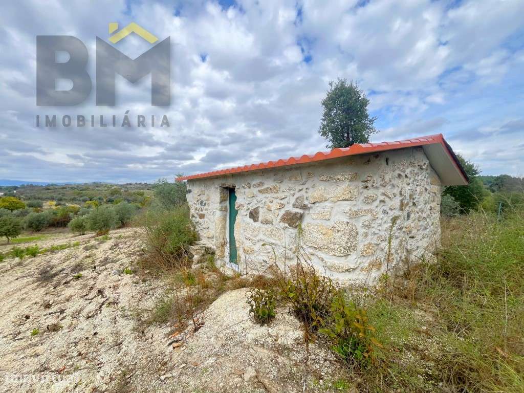 Quinta com 4.5ha e construção rural em São Miguel Acha (Idanha-a-Nova) - Grande imagem: 3/26