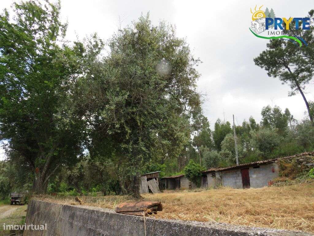 Pequena quinta a confinar com a Ribeira situada perto de Oleiros-32
