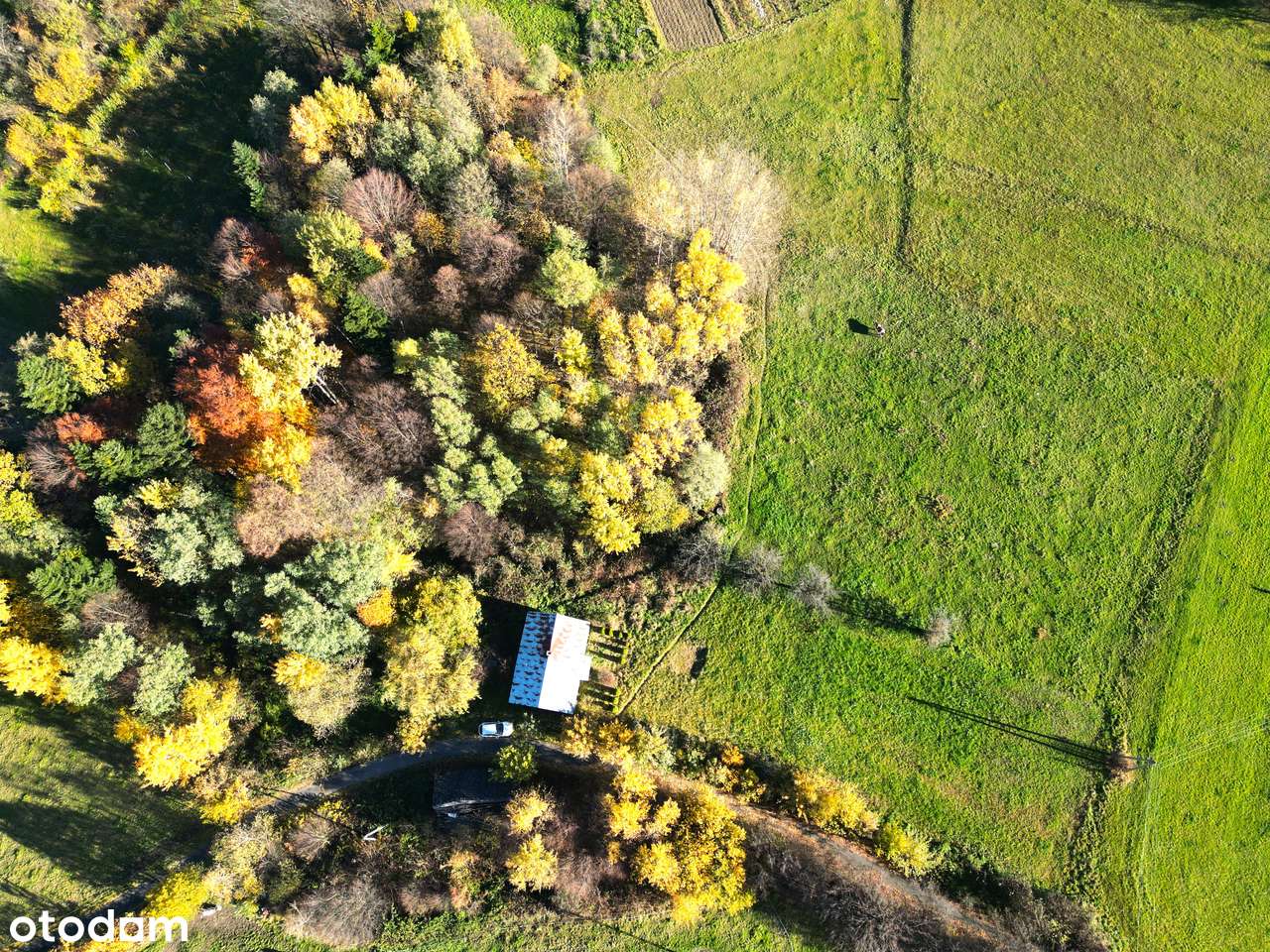 Dom  z potencjałem pod agroturystykę lub prywatny azyl działka 78arów-10