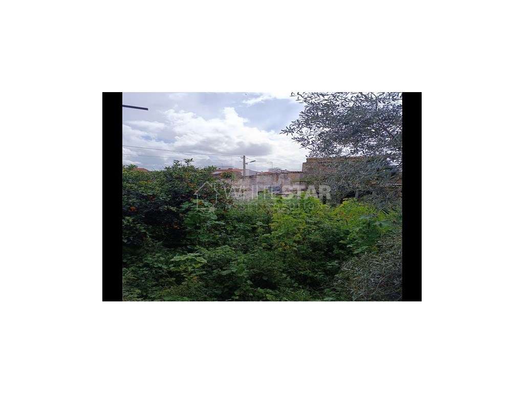 Moradia em ruína no centro da vila da Vidigueira. - Grande imagem: 4/6