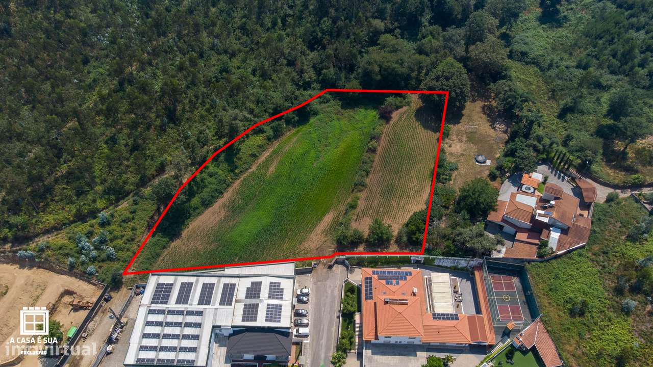 Terreno rústico em Romariz - Exclusivo - Grande imagem: 3/12