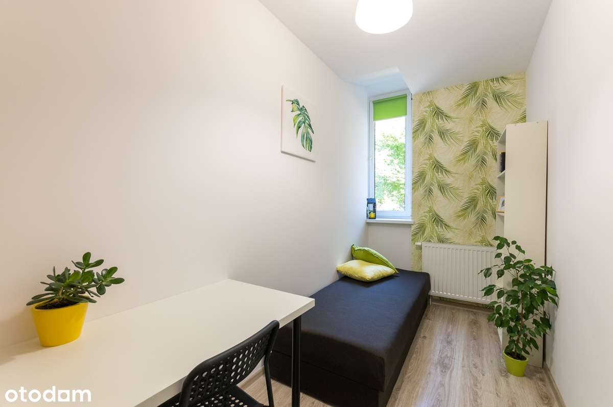 Hallera okolice CH Borek-1