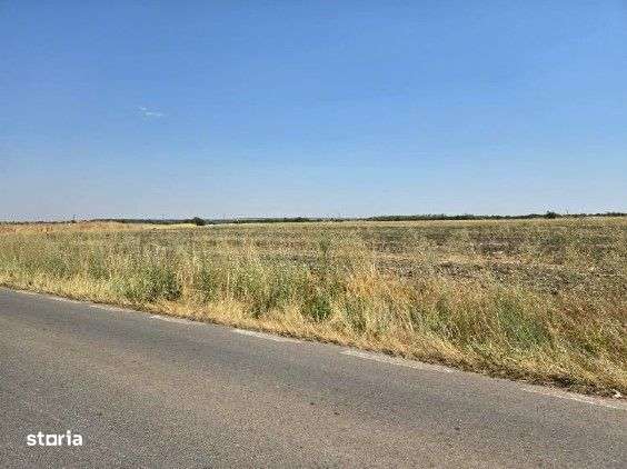 Teren extravilan Smardioasa, cota 1/6, ID: R2688427 - Imagine principală: 2/9