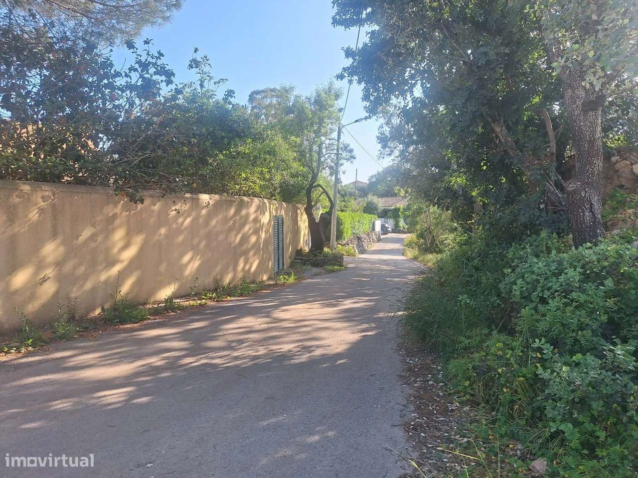 Terreno nos arredores de São Brás de Alportel-6