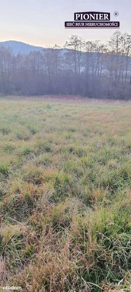 Działka Przemysłowo Usługowa! - Pełny obrazek: 5/5