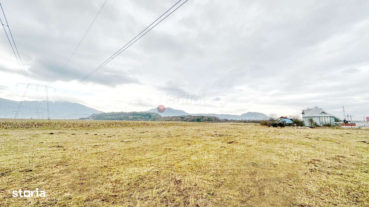 Teren Intravilan - Pretabil Constructie Industriala - Imagine principală: 4/11