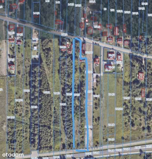 Działka inwestycyjna 6 540 m² — Nowy Janków, gmina - Pełny obrazek: 5/6