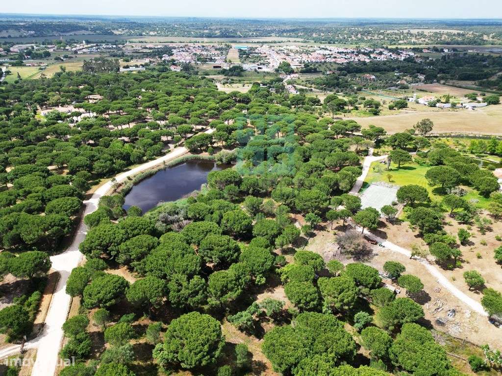 Lote de Terreno de 33.300m2, com lagoa, na Mata do Duque 1, Santo E...-29