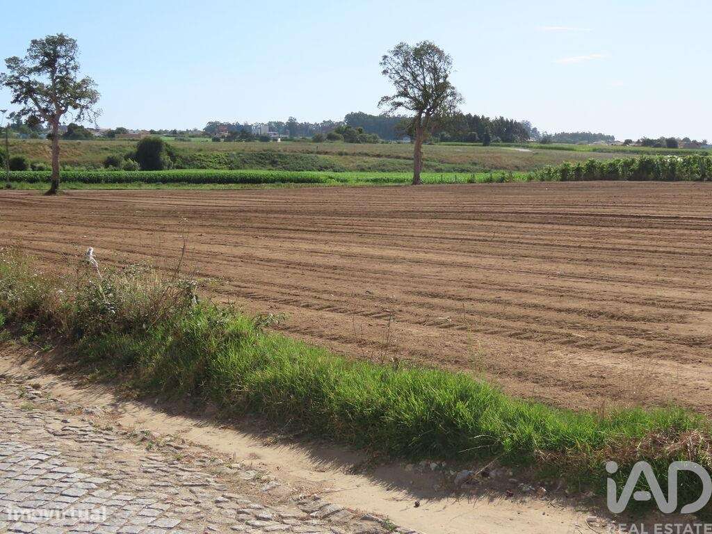 Terreno para construção em Aveleda de 21000,00 m2 - Grande imagem: 2/30