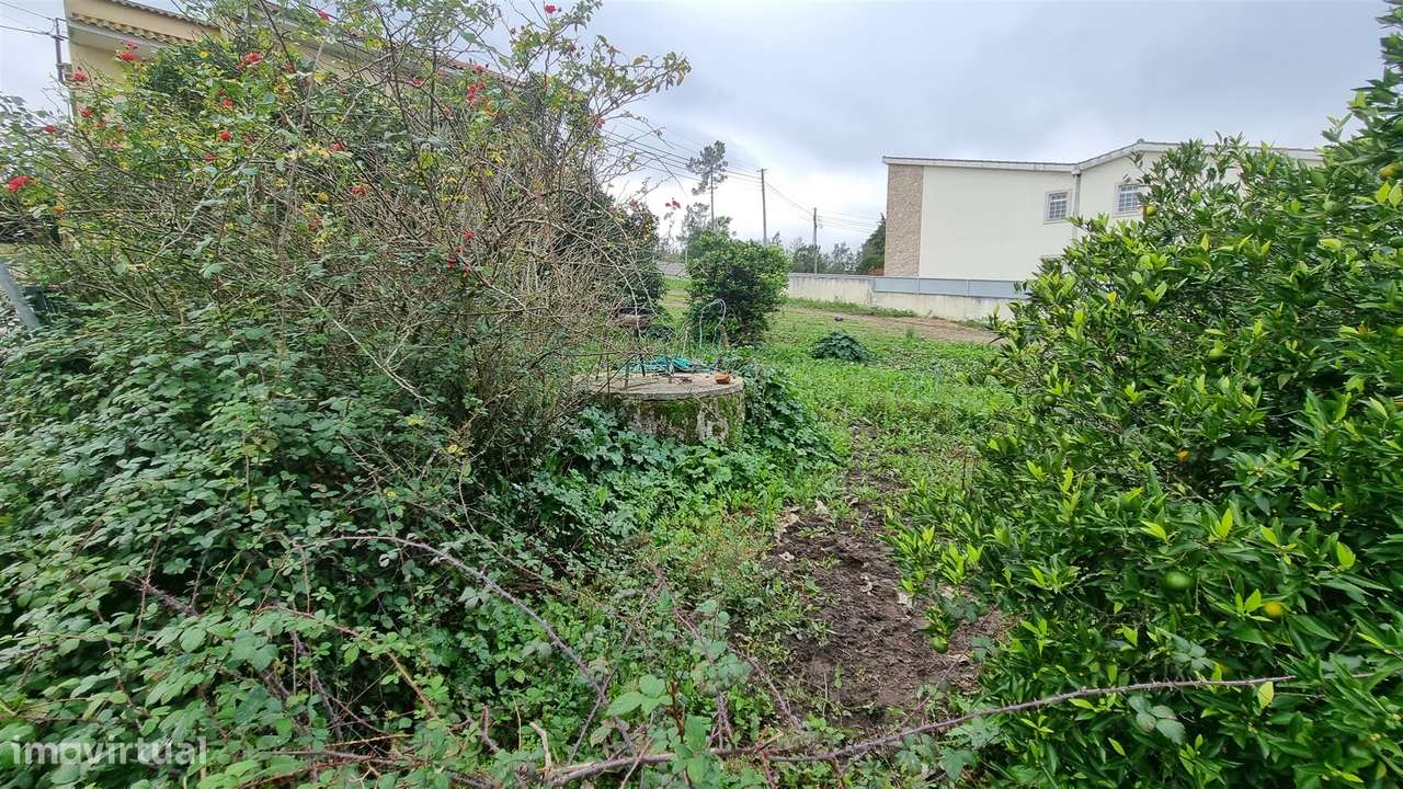 Terreno Rústico com Potencial Urbano – Granja do Ulmeiro, Soure - Grande imagem: 5/12