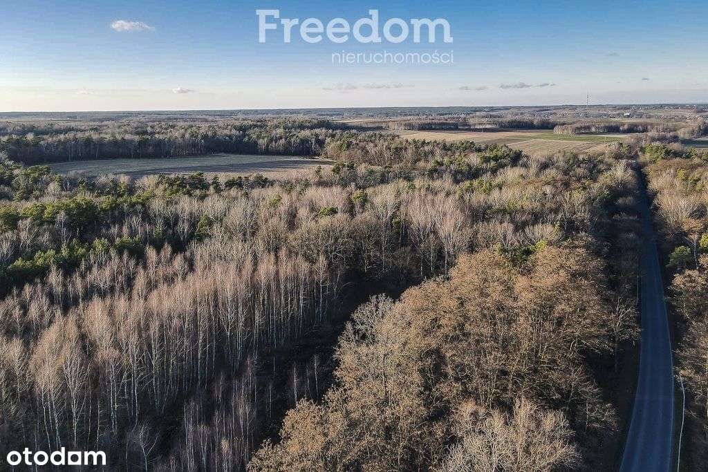 50 arowa działka rolno-leśna, Giedlarowa - Pełny obrazek: 5/9