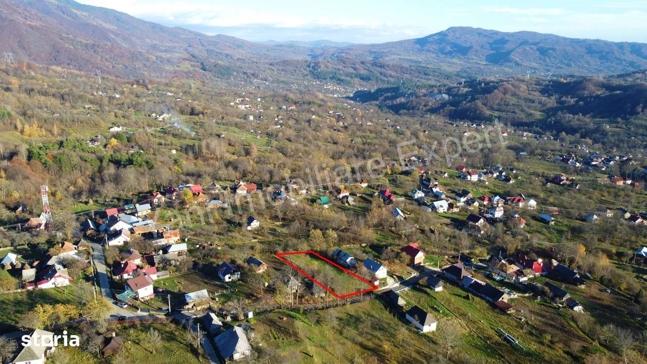 Teren de vânzare în comuna Arefu, județ Argeș. - Imagine principală: 5/15